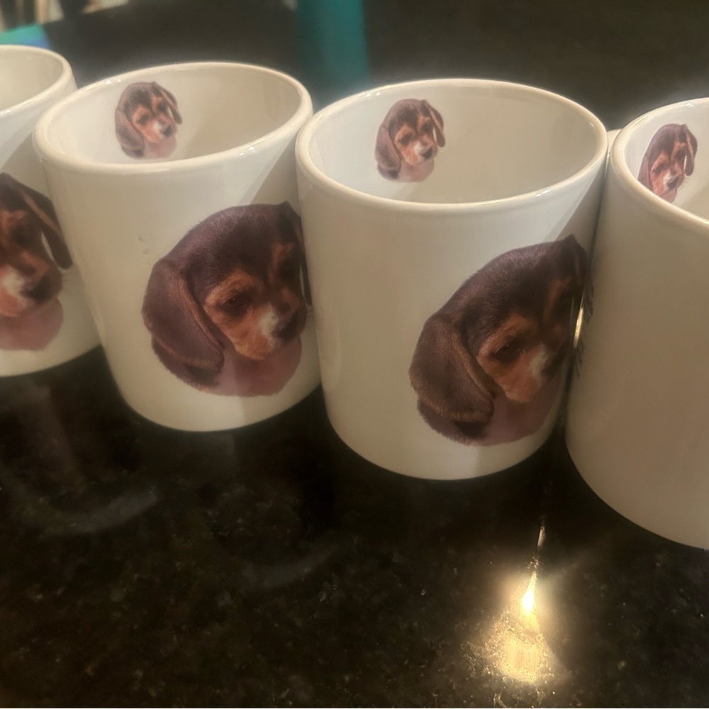 Beagle puppy coffee cup set of 4. Substantial cup, well made, breed description